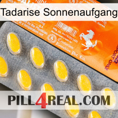 Tadarise Sunrise new05